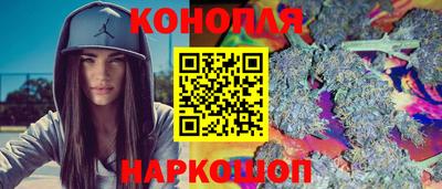 крисы Новокубанск