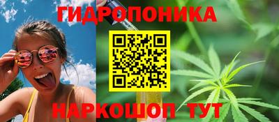 МДМА Новозыбков
