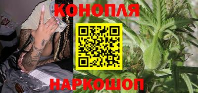 крисы Новокубанск