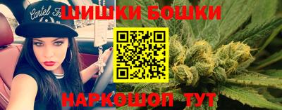 крисы Новокубанск