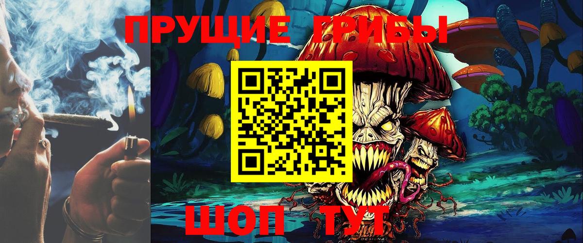 Псилоцибиновые грибы Psilocybe Семилуки